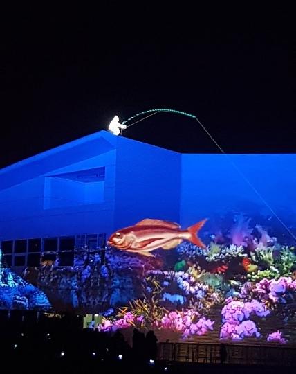 LSE - Nausicaá Aquarium Opening Ceremony, for Groupe F